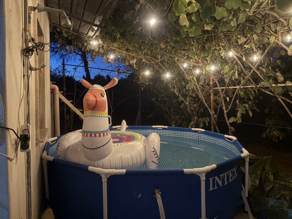 Zwembad onder de kiwi bij avond