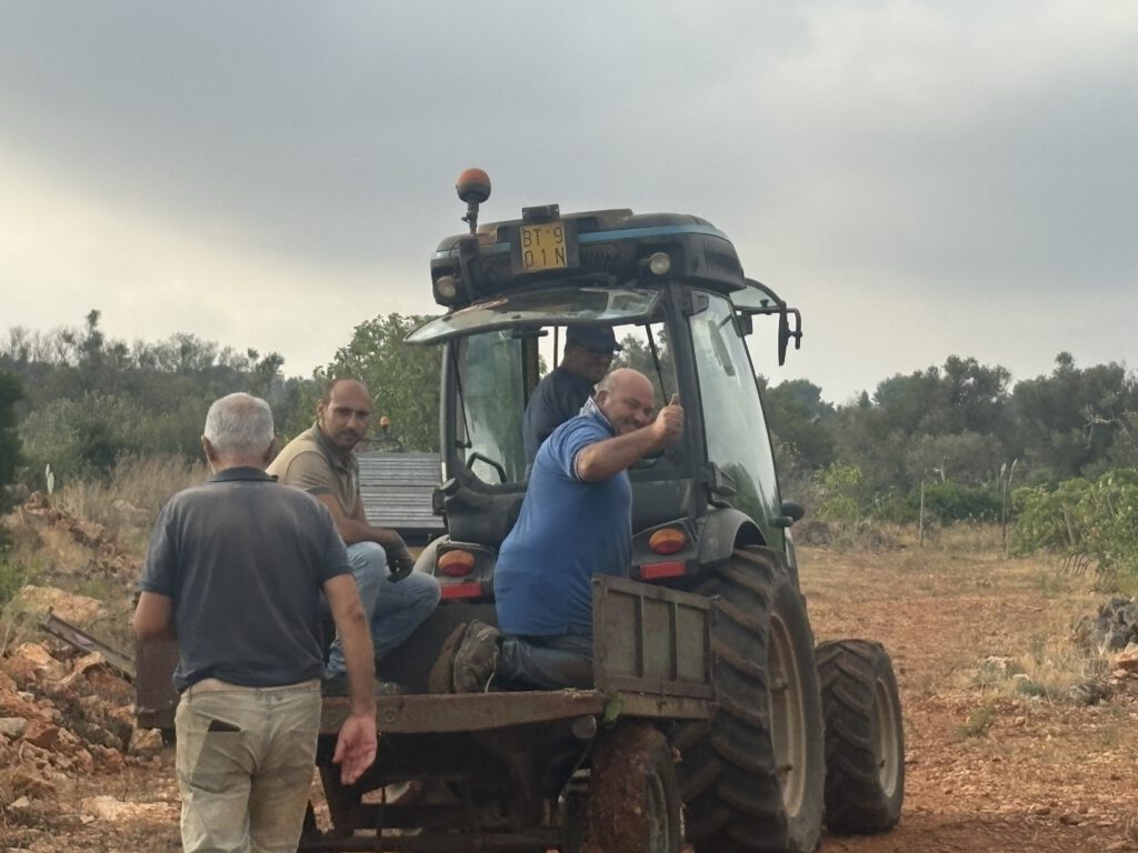 Mannetjes op de aanhanger achter een tractor