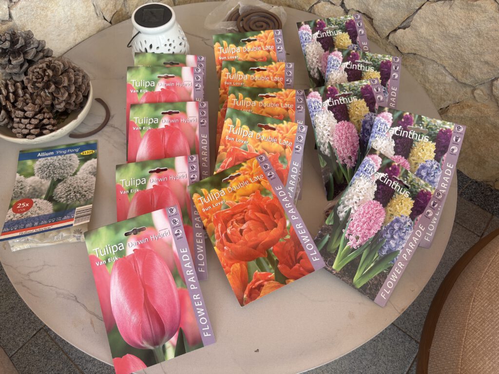 bloembollen klaar om te planten