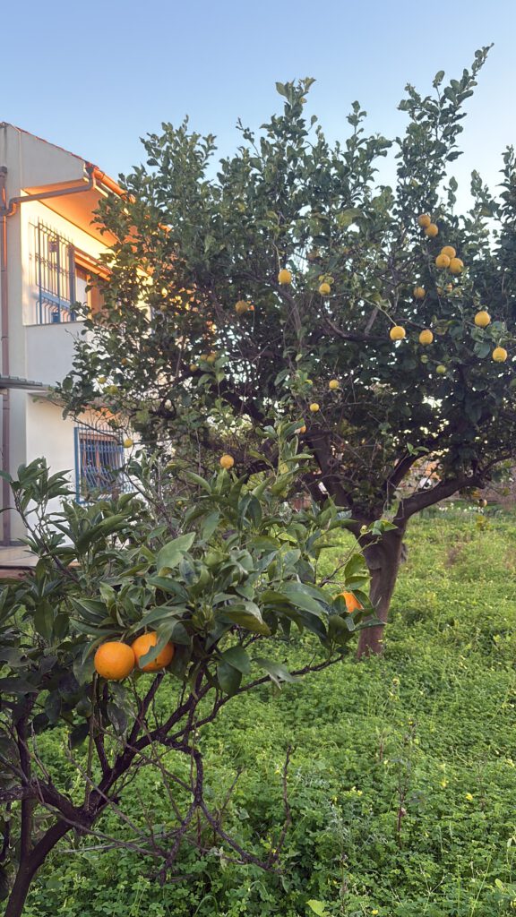 Casa Allgeria met fruitbonen