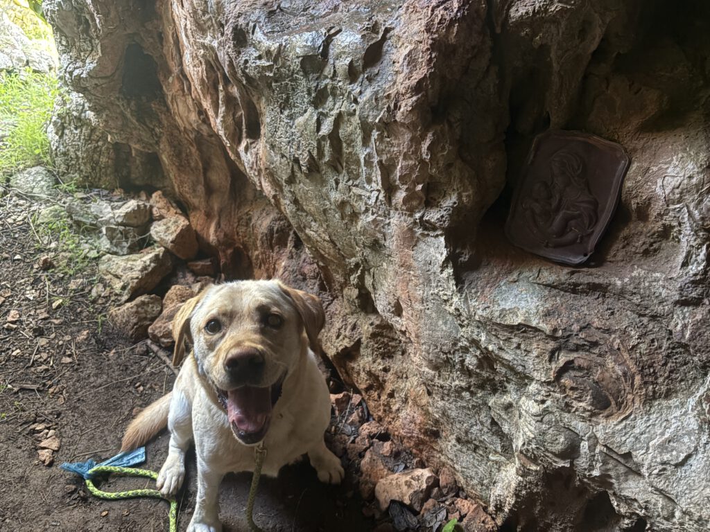 Madonna del carottu met Tommy