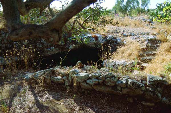 Vindplek  van de Veneri