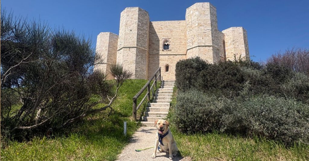Castello del Monte en Tommy